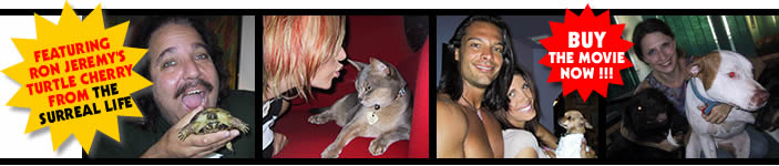 buy pornstar pets dvd